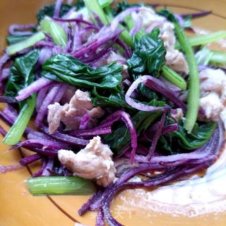 冰淇淋萝卜塔菜拌拆骨肉的做法步骤：12