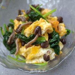 小鸡枞菌塔菜炒乌鸡蛋的做法步骤：18