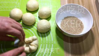 松软汉堡胚，松软有弹性，入口浓浓奶香和芝麻香。的做法步骤：10
