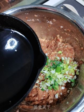 猪肉白菜饺子的做法步骤：9