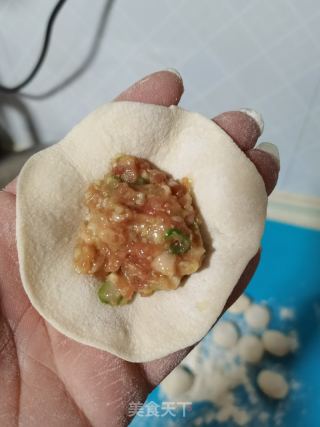 猪肉白菜饺子的做法步骤：12