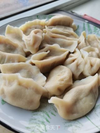 猪肉白菜饺子的做法步骤：17