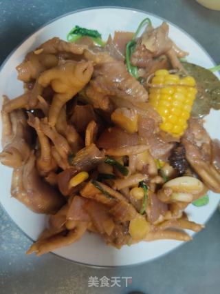 鸡翅鸡爪煲的做法步骤：7