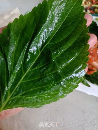 苏子叶包煎肉的做法步骤：15