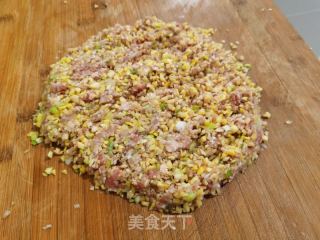 羊肉胡萝卜蒸饺的做法步骤：5