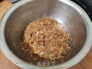 羊肉胡萝卜蒸饺的做法步骤：8