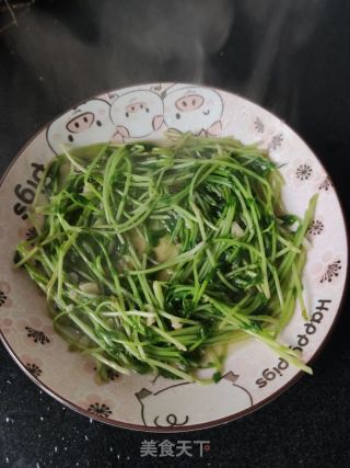 爆香豌豆苗(自己培育的豌豆苗)的做法