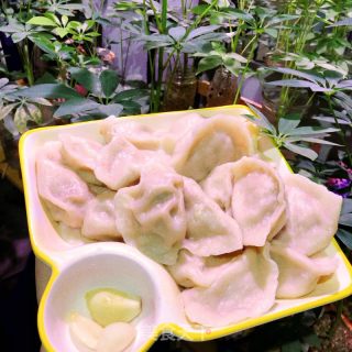 猪肉白菜水饺的做法步骤：15