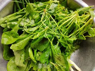 蒜香菠菜的做法步骤：1