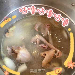 滋补鸽子汤的做法步骤：4