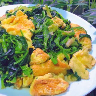 菠菜炒鸡蛋的做法步骤：10