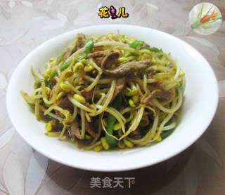 椒肉丝炒黄豆芽的做法