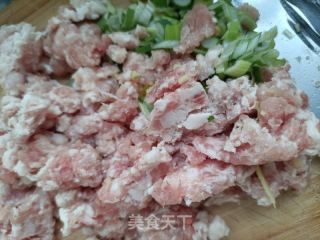 白萝卜肉包的做法步骤：7