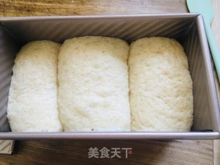 全麦吐司的做法步骤：8