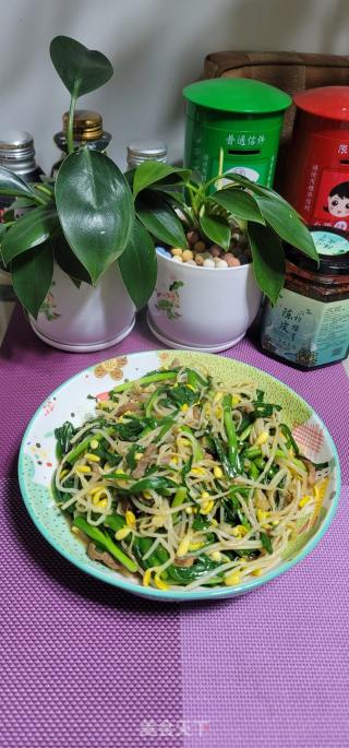 肉丝炒黄豆芽韭菜的做法步骤：15