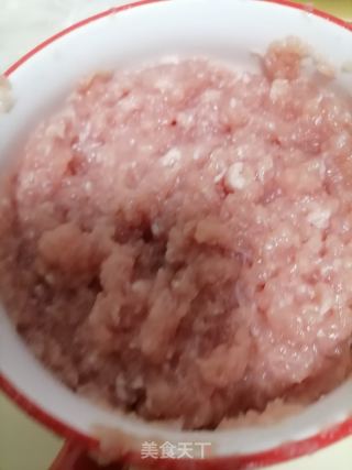鲜肉清汤的做法步骤：5