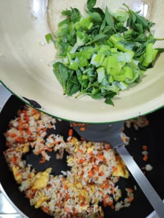 胡萝卜鸡蛋炒饭的做法步骤：8