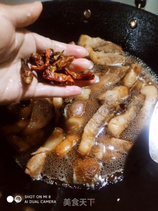 家常红烧肉的做法步骤：10