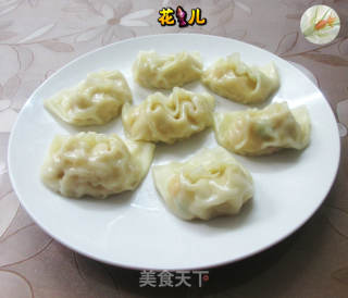 杂菜鸡肉泥大馄饨