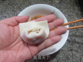 杂菜鸡肉泥大馄饨的做法步骤：8