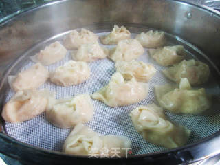 杂菜鸡肉泥大馄饨的做法步骤：11