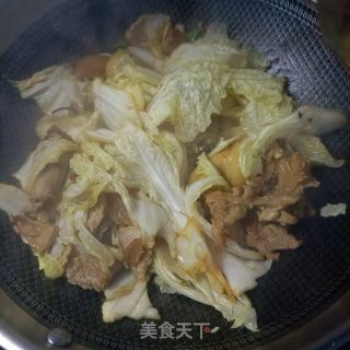 白菜粉条炖鸡的做法步骤：9