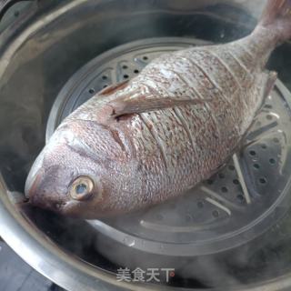 年年有余（葱油红鲷）的做法步骤：4