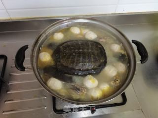 甲鱼沐浴的做法