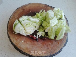 清炒圆白菜的做法步骤：2