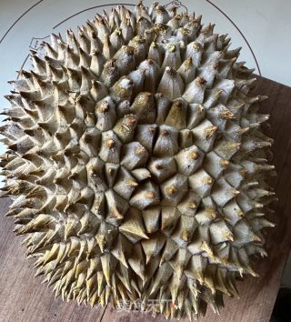 榴莲蛋挞的做法步骤：2