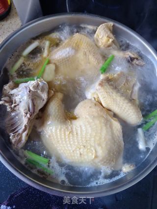 油辣鸡还是白切鸡的做法步骤：2