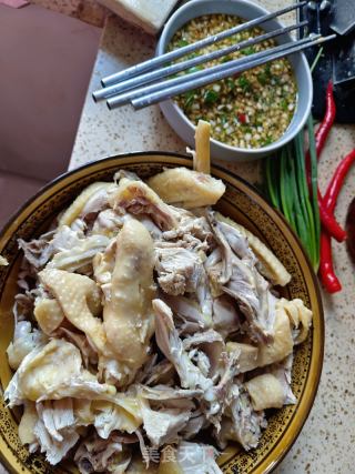 油辣鸡还是白切鸡的做法步骤：9