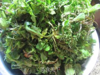 荠菜肉馅大馄饨的做法步骤：2