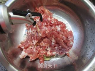 荠菜肉馅大馄饨的做法步骤：7