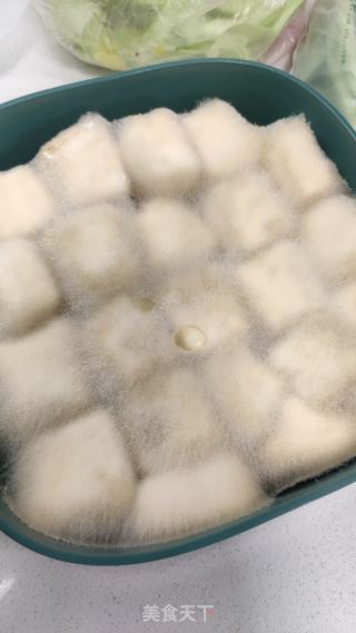豆腐乳的做法步骤：4