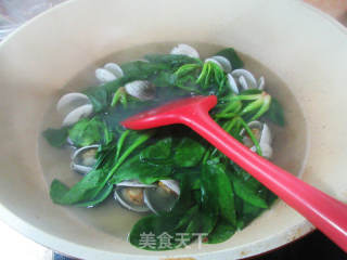 圆蛤菠菜汤的做法步骤：7
