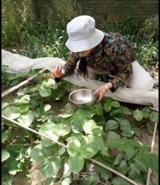 年年有余（草莓盘饰）的做法步骤：1