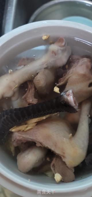 鸽子鸡脚花旗参汤的做法步骤：5