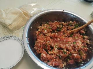 鲜肉馄饨的做法步骤：3
