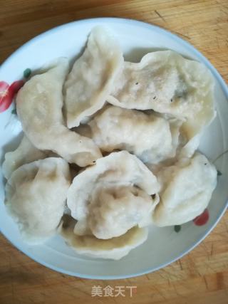 韭菜鸡蛋饺子的做法
