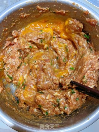 香酥千层肉饼的做法步骤：5