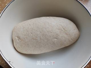 全麦枣泥包的做法步骤：3