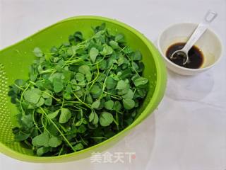 春天限定尝鲜/酒香草头的做法步骤：4