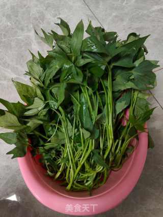 蒜香红薯叶的做法步骤：1