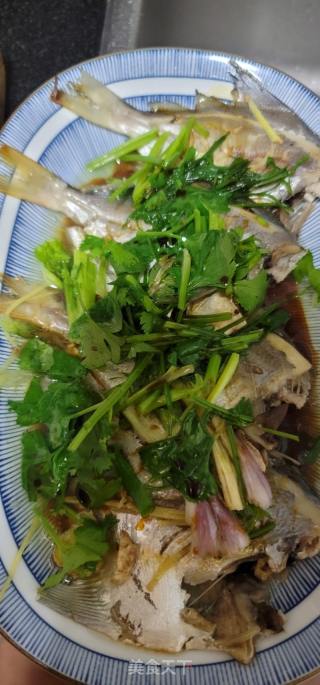 清蒸银鲳鱼的做法步骤：6