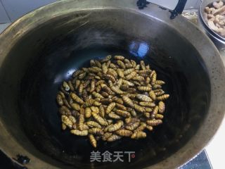 炒蚕蛹的做法步骤：3