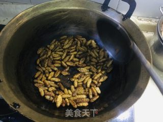 炒蚕蛹的做法步骤：4