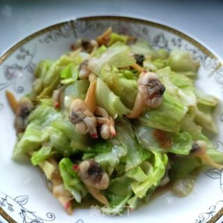 蛤蜊肉炒圆白菜的做法