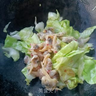 蛤蜊肉炒圆白菜的做法步骤：5
