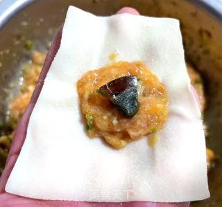 鲜肉皮蛋云吞的做法步骤：6